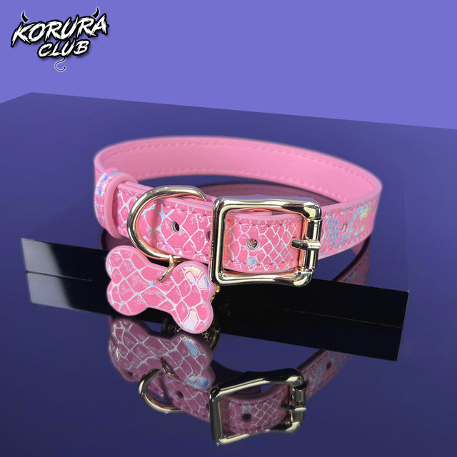 Dog Bone Collar and Leash KA14