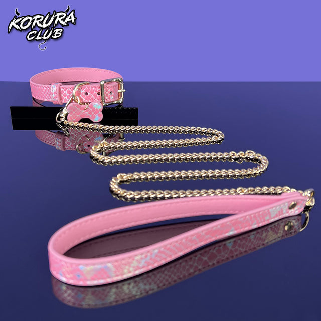 Dog Bone Collar and Leash KA14