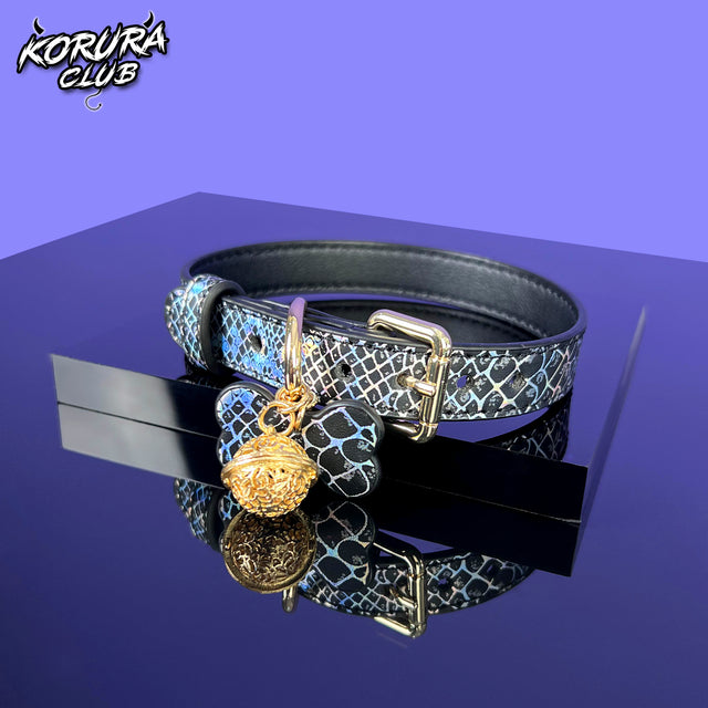 Dog Bone Collar and Leash KA14