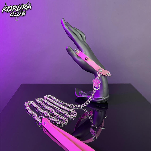 Punk Paw Tag Collar Leash KA09