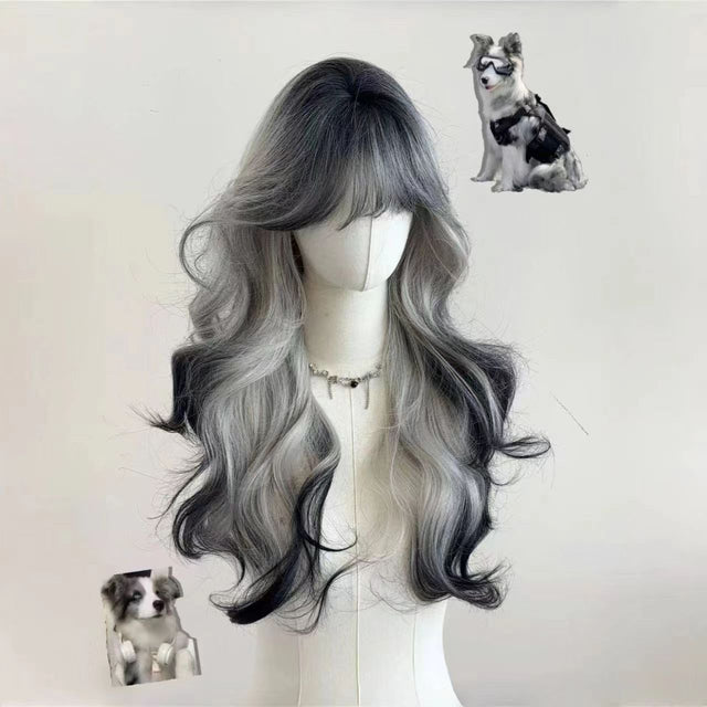 Black And White Gradient Wig   CO23