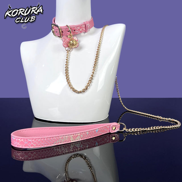 Dog Bone Collar and Leash  KA14