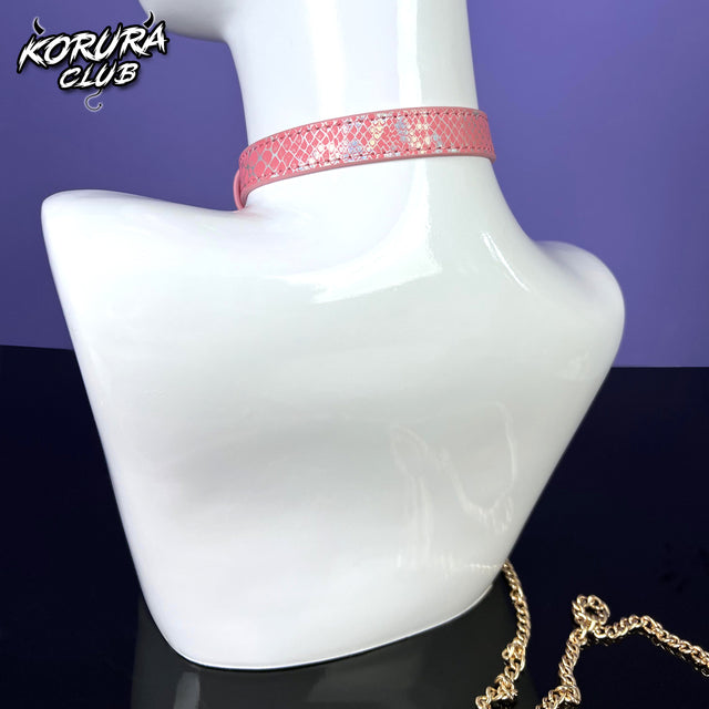 Dog Bone Collar and Leash  KA14