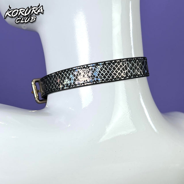 Dog Bone Collar and Leash  KA14