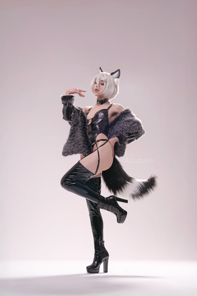 Cosplay Raccoon Lingerie KO53（6-Piece Set）