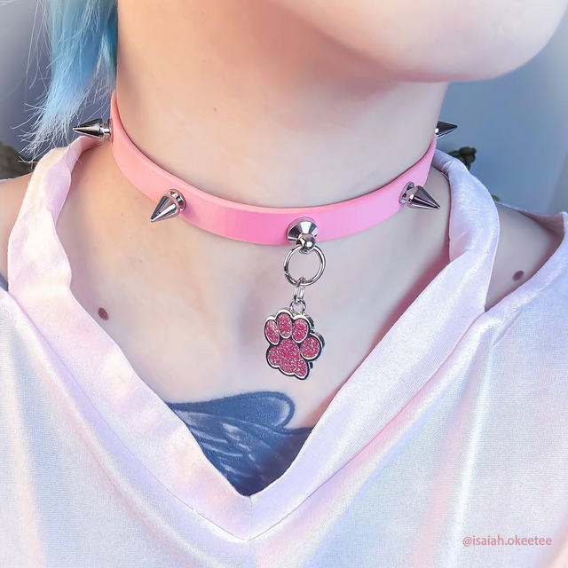 Punk Paw Tag Collar Leash KA09